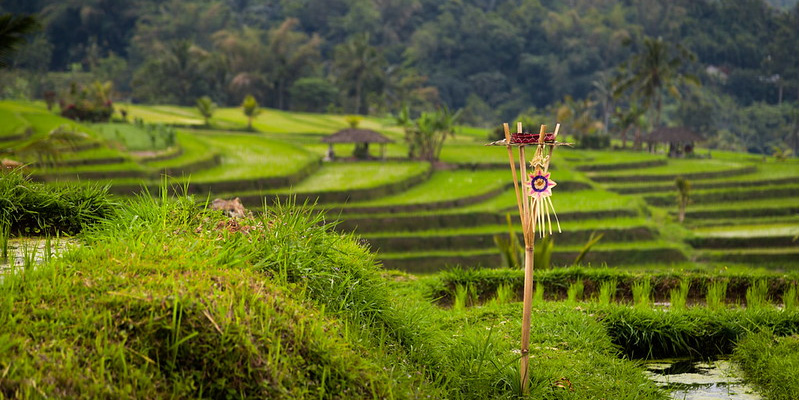 Handels- en studiereis naar Indonesië van 2 tot en met 13 oktober: Meld je nu aan!